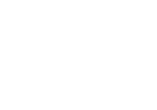 Jasco Quality Painting Professional Painters P201