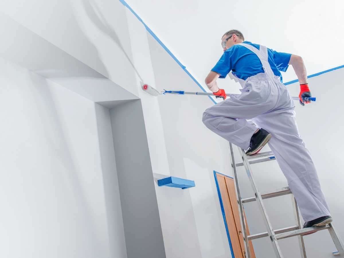 Professional Painters 8