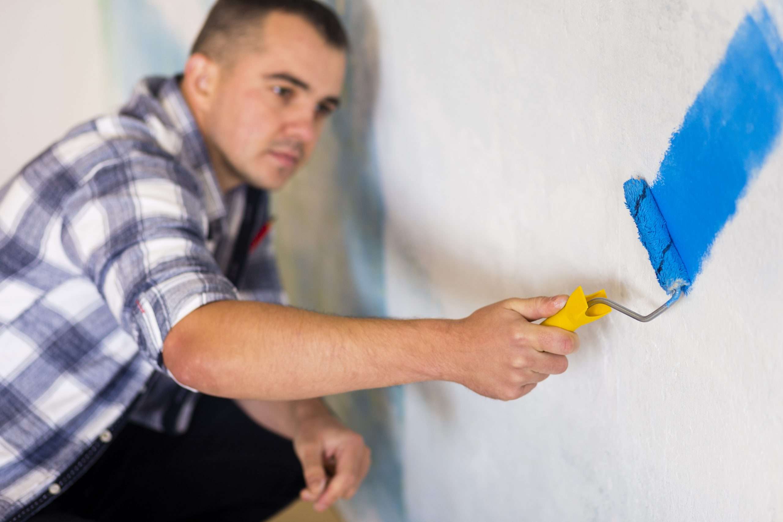 Jasco Quality Painting Professional Painters P20