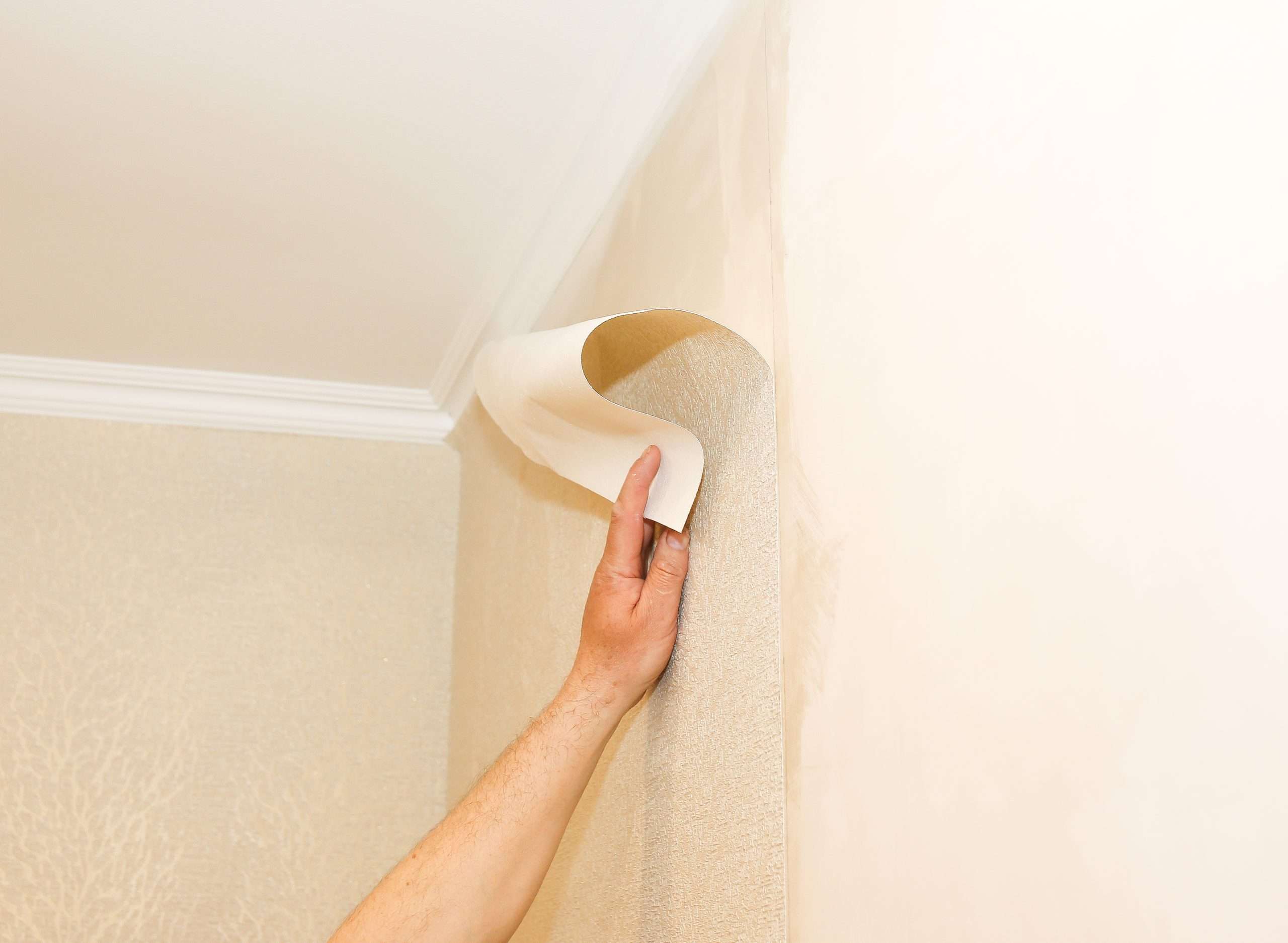 Jasco Quality Painting Professional Painters P76