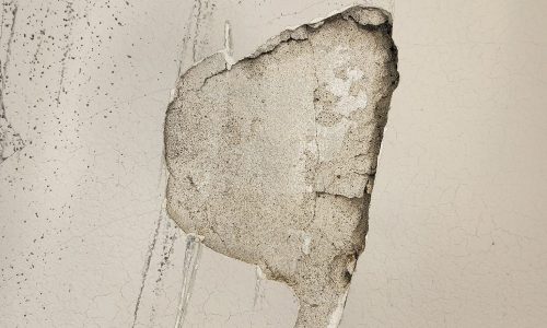Jasco commercial painting